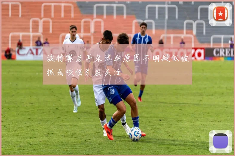 波特赛后耳朵流血原因不明疑似被抓或咬伤引发关注